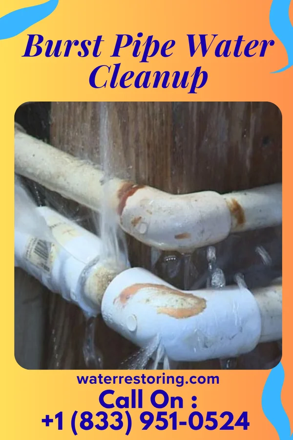 Burst Pipe Water Cleanup in Glens Falls, NY