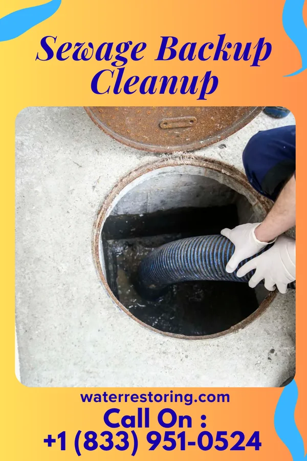 Sewage Backup Cleanup in Glens Falls, NY